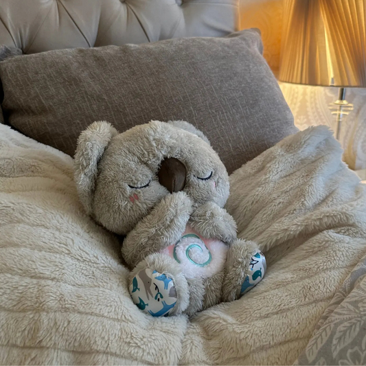 Koalax